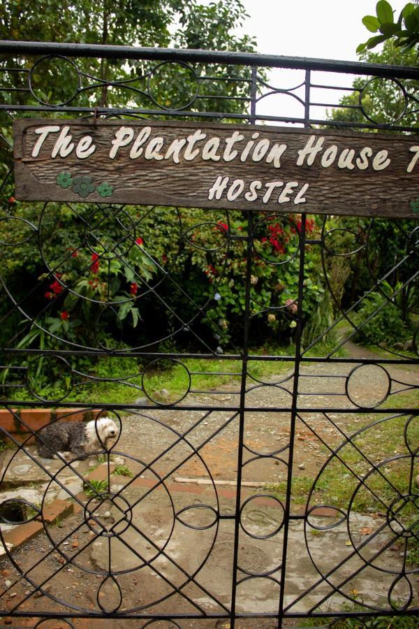 The Plantation House Travellers Hostel Salento Bagian luar foto