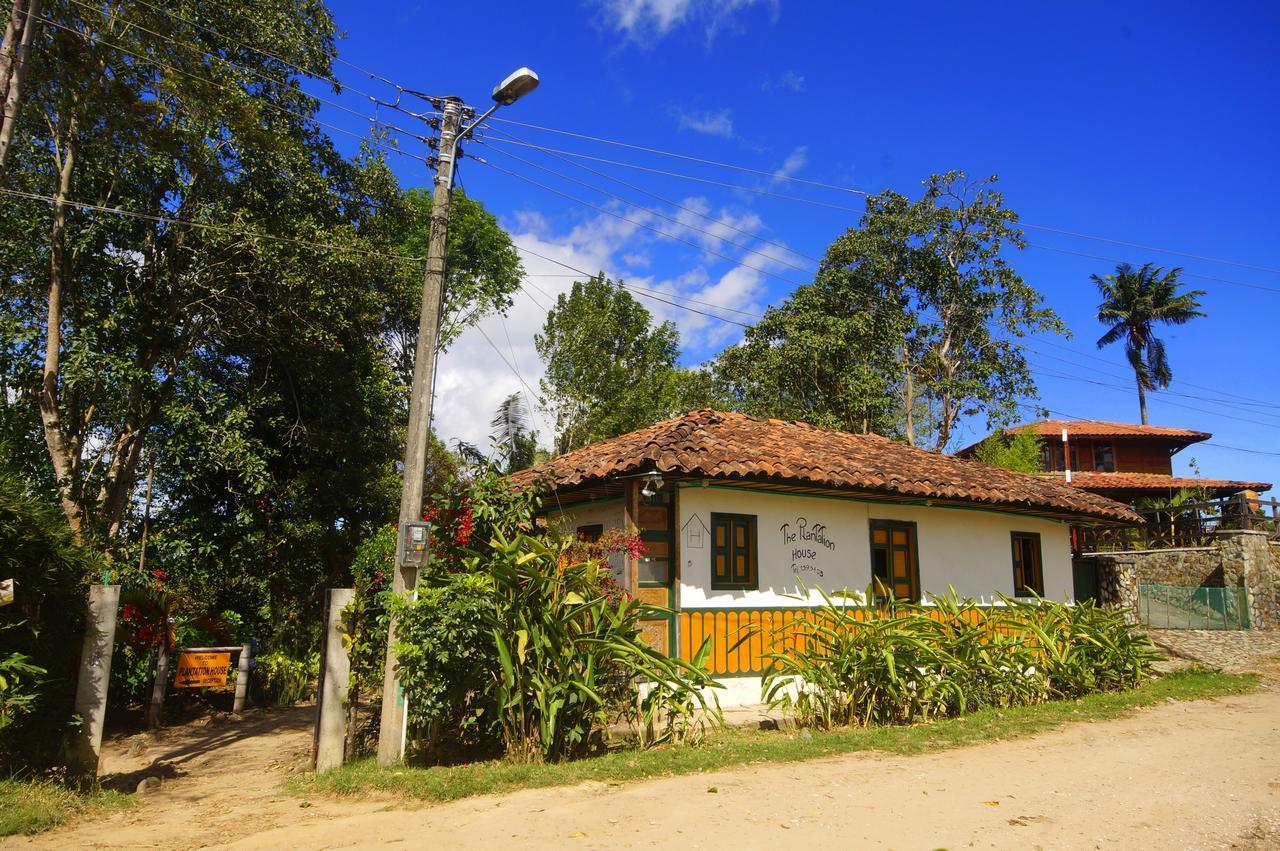 The Plantation House Travellers Hostel Salento Bagian luar foto