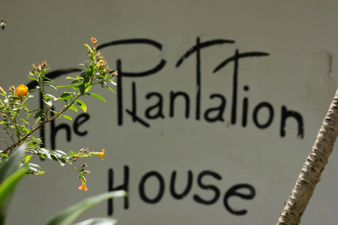 The Plantation House Travellers Hostel Salento Bagian luar foto