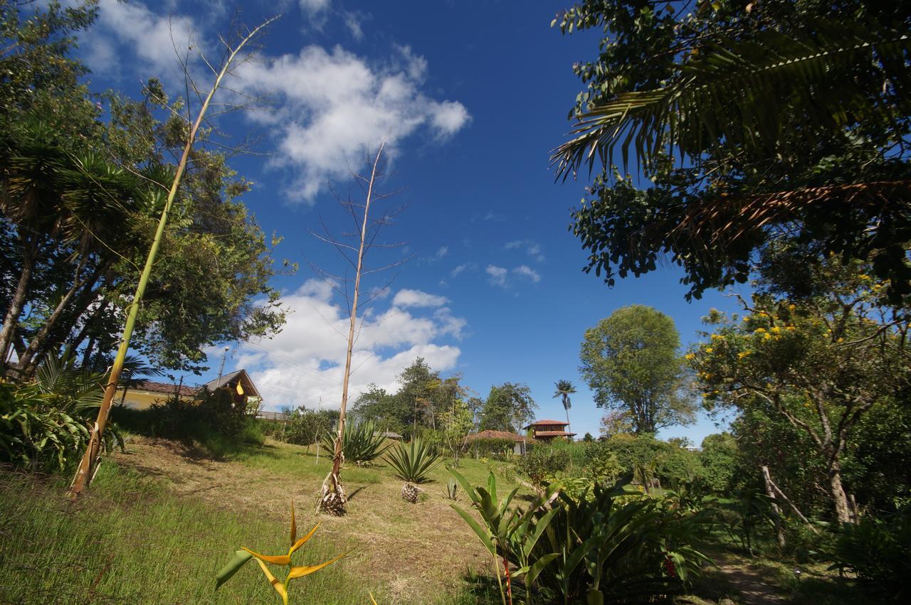 The Plantation House Travellers Hostel Salento Bagian luar foto